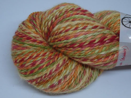 Autumn Colours Handspun Yarn-